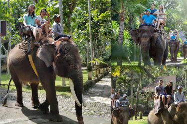 bali elephant ride tour
